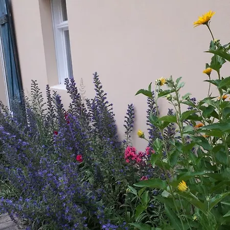 Апартаменты Blumenhaus Фельтен Экстерьер фото