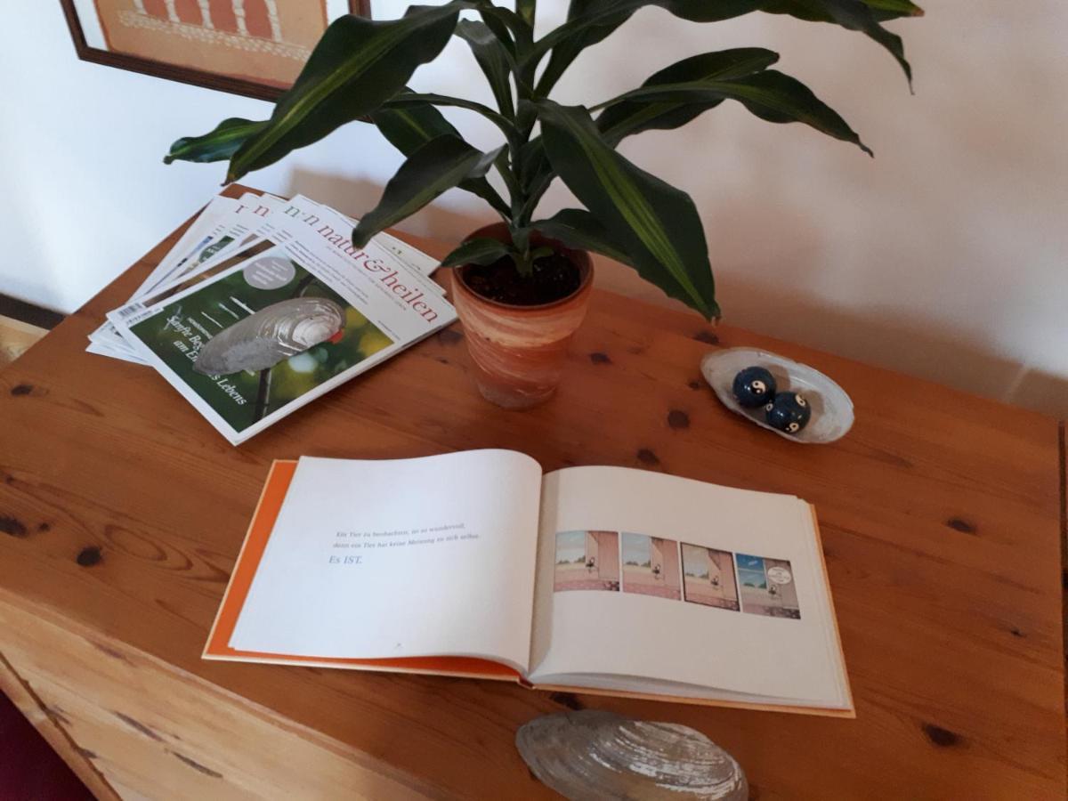 Blumenhaus Appartement