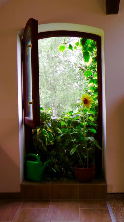 Appartement Blumenhaus *